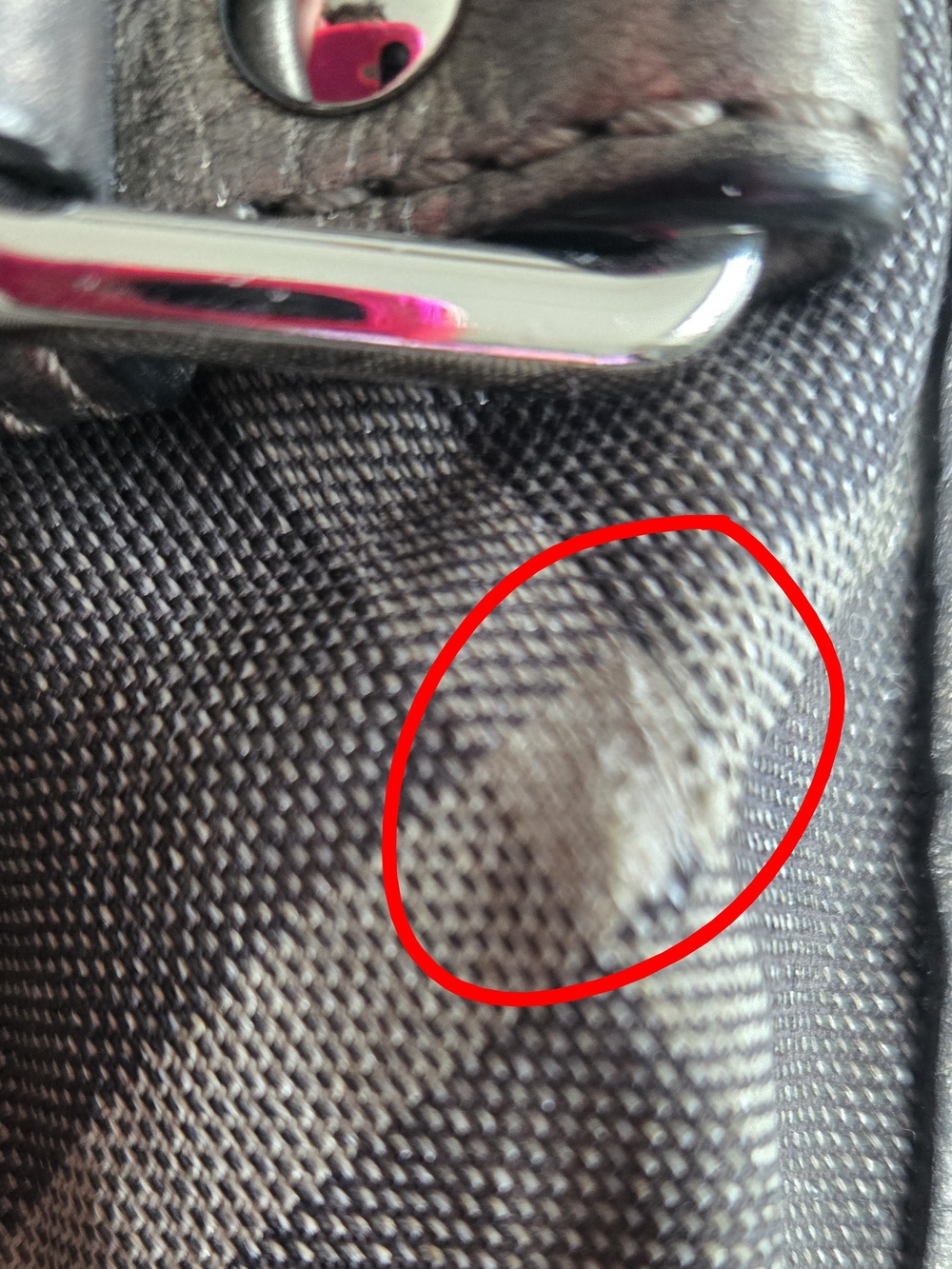Burberry Metallic Cotton Tote - Picture 5 of 7